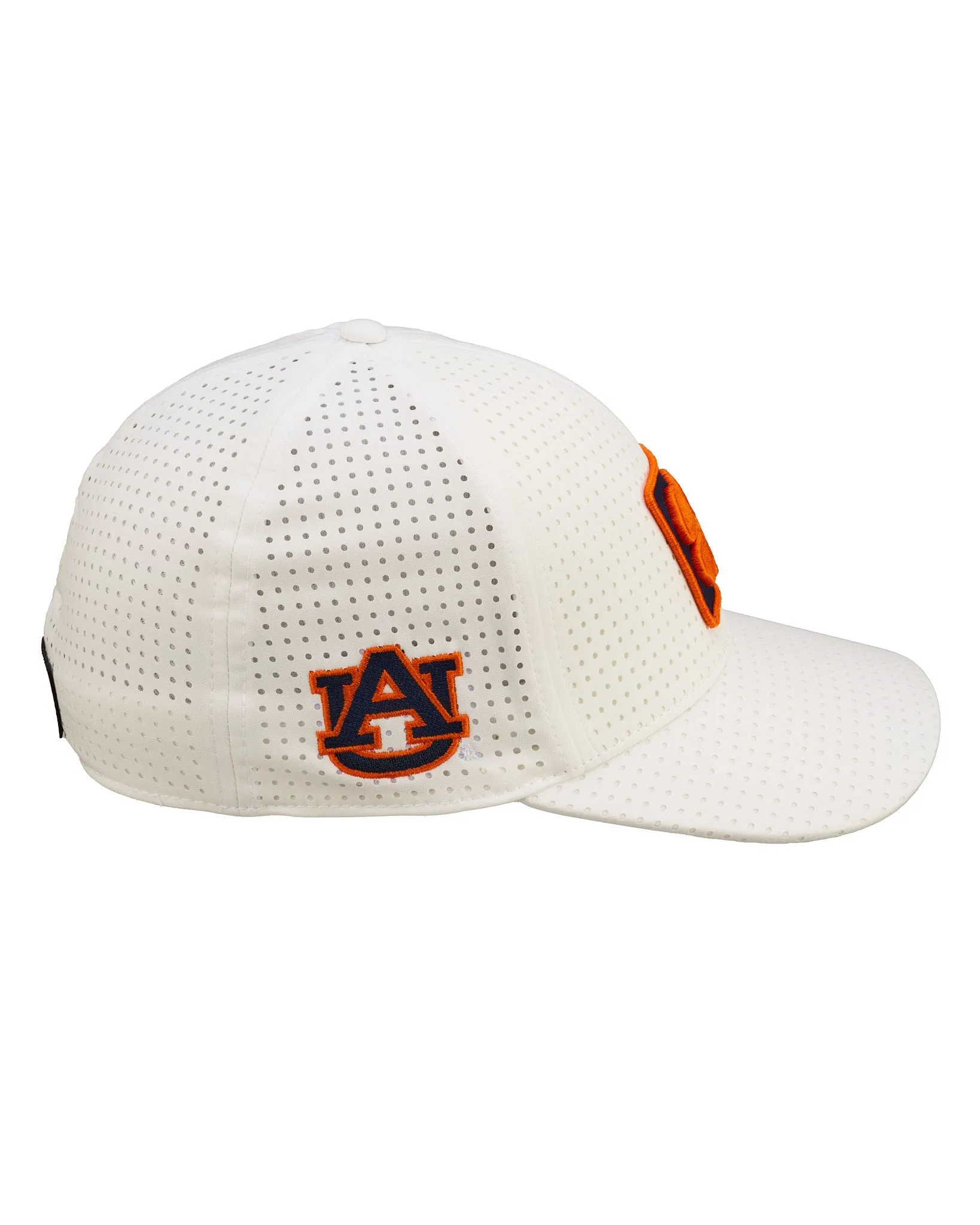 Auburn Laser