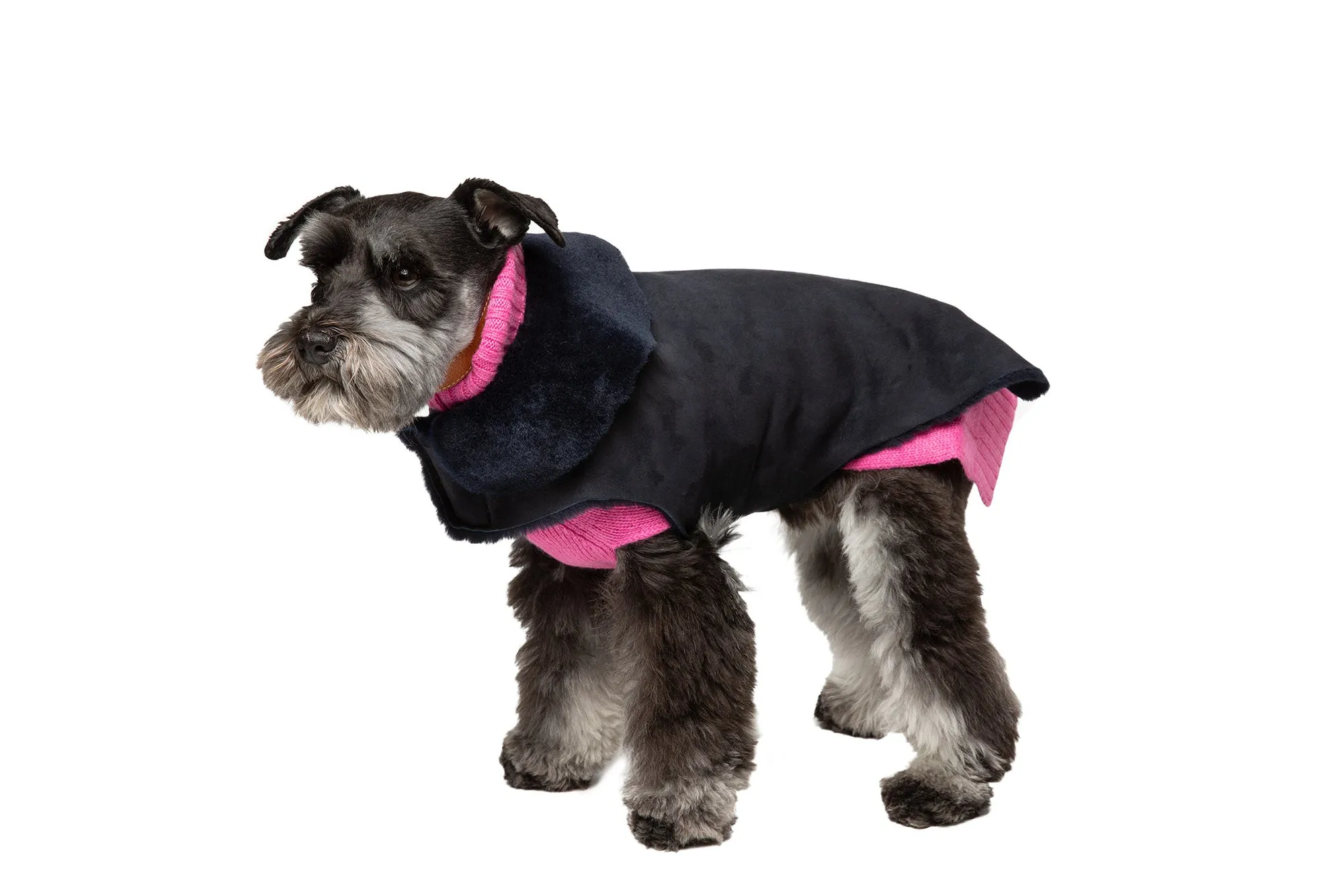 Hand-Cut Shearling Short Haired - Dog Coat - 4 Color Options