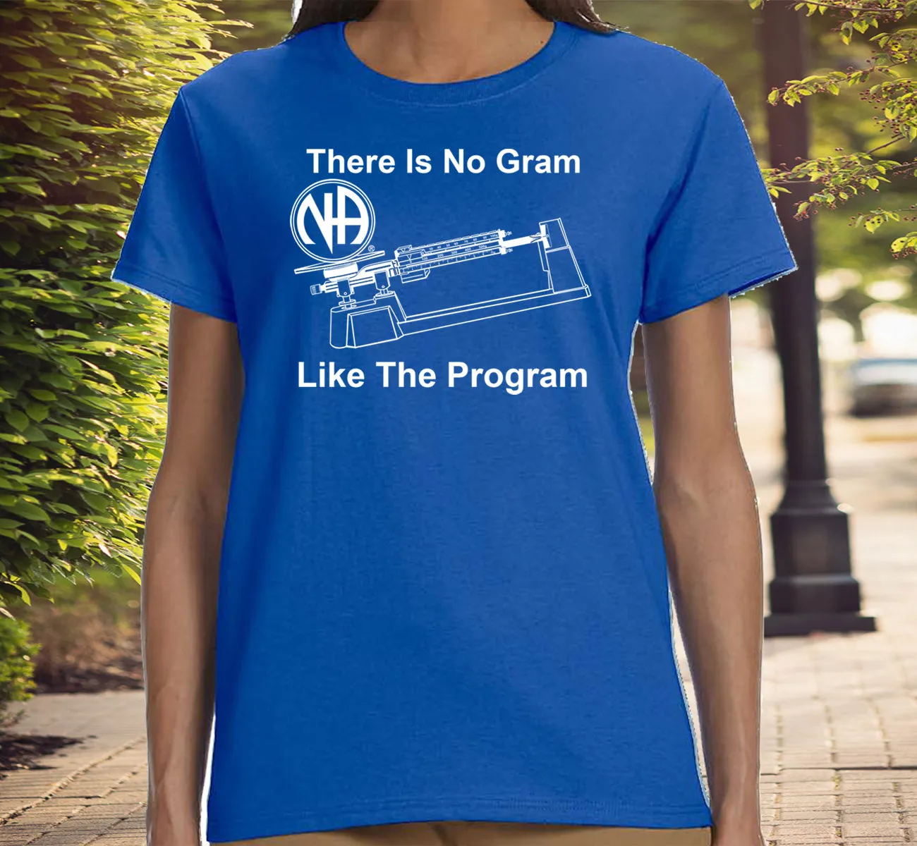 ldTs- No Gram Like Program Ladies T's